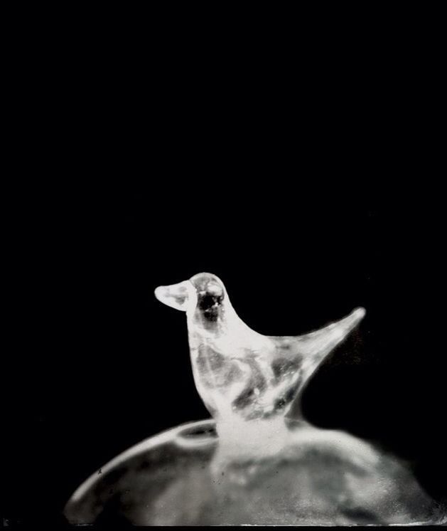 studio shot, copy space, black background, close-up, one animal, animal themes, statue, art and craft, sculpture, cut out, art, night, no people, clear sky, creativity, human representation, animal head, wildlife, animals in the wild, animal representation