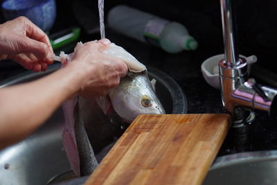 Midsection of person holding fish