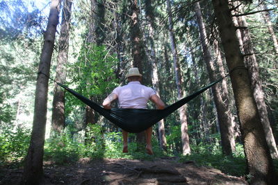 Rear view of man sitting on tree trunk in forest