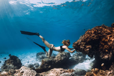 Rear view of woman swimming in sea