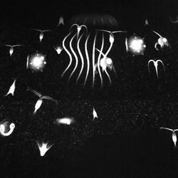 Illuminated lights at night