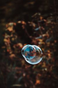 Close-up of bubbles