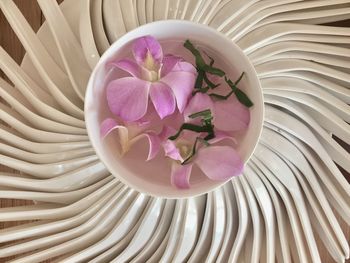 High angle view of pink flower on table