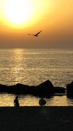 Silhouette birds flying over sea against sky during sunset