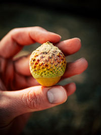 Close-up of hand holding apple