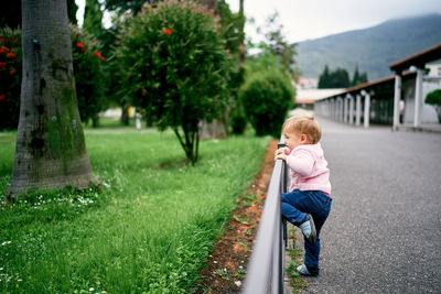 Rear view of boy on grass against trees