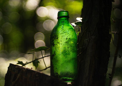 Close-up of beer bottle on table