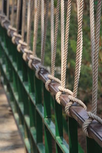 Close-up of rope tied to railing