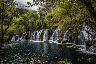 Scenic view of waterfall in forest