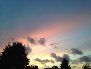 Low angle view of trees against sky