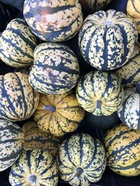 Full frame shot of pumpkins