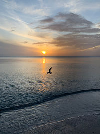 Scenic view of sea against sky during sunset