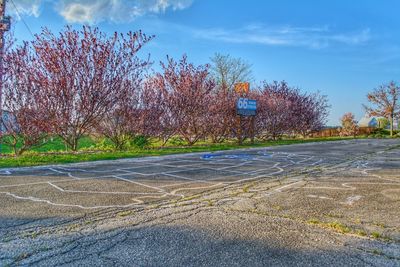 Road by trees against sky