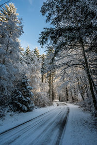 Curved road in