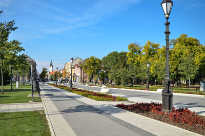 Street by trees against blue sky