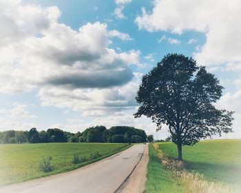 Road by trees on field against sky