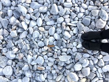 Low section of person standing on pebbles at beach