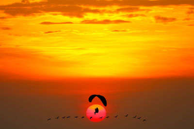 Silhouette birds flying against orange sky