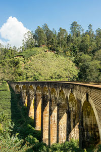 Arch bridge against trees 