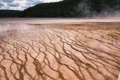 Runoff deposits from grand prismatic hot springs in yellowstone national park, montana