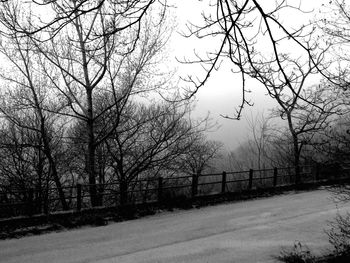 Bare trees on snow covered landscape