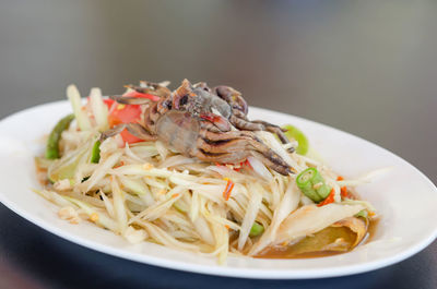 Close-up of meal served in plate
