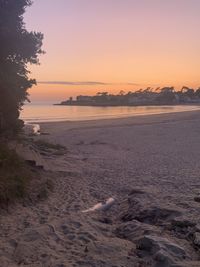 Scenic view of beach against sky during sunset
