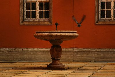 Close-up of bird perching on statue in city