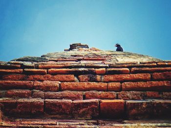 Low angle view of bird perching against clear sky