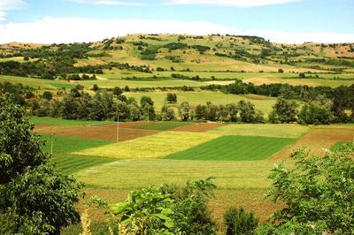 Scenic view of agricultural field against sky