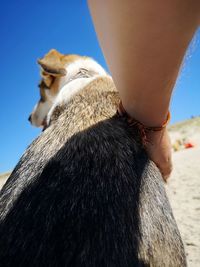 Low section of person on land against sky