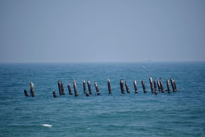 Wooden posts in sea against clear sky