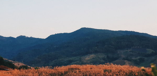 Scenic view of mountains against clear sky