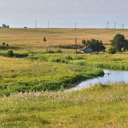 Scenic view of grassy field against sky