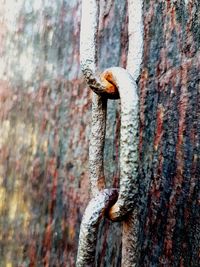 Close-up of rusty metal door