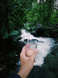 Person hand holding water flowing in forest