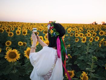 Woman photographing sunflowers field through mobile phone against clear sky