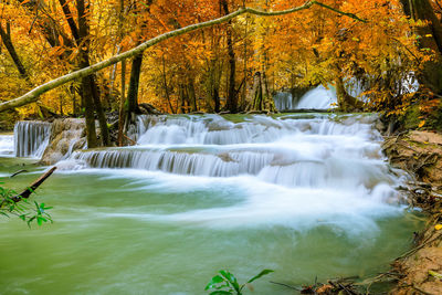 Scenic view of waterfall in forest