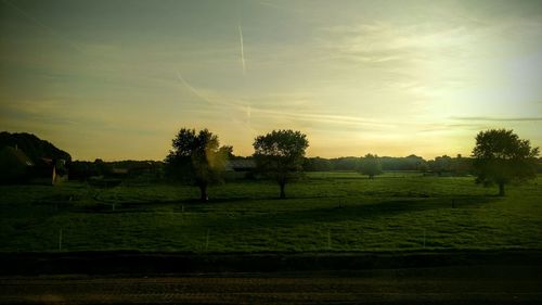 Trees on field against cloudy sky