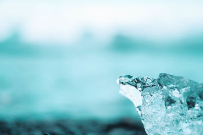 Close-up of ice crystals on rock