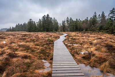 Boardwalk leading towards trees in forest against sky