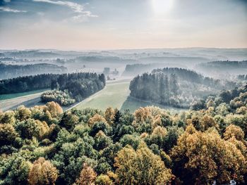 High angle view of trees in forest against sky