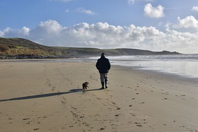 Rear view of dog on beach