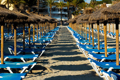 Empty chairs and palm trees on beach
