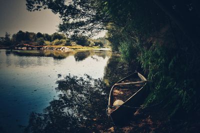 Reflection of trees in calm lake