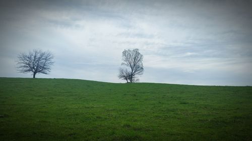 Scenic view of grassy field against cloudy sky