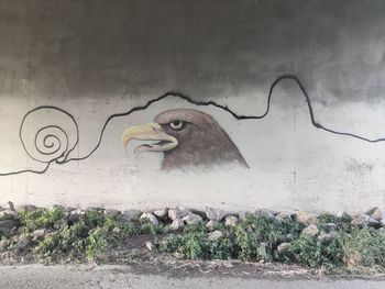 View of an animal representation on wall