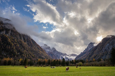 Scenic view of landscape and mountains against sky