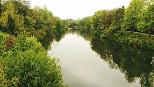Reflection of trees in water