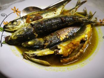 High angle view of meal served in plate